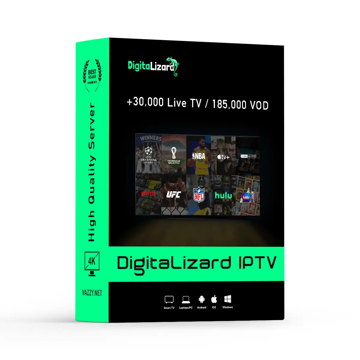 DigitaLizard IPTV Plan Options DigitaLizard IPTV plan page showing subscription options and premium channels